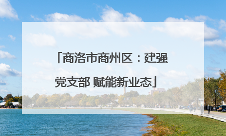 商洛市商州区：建强党支部 赋能新业态