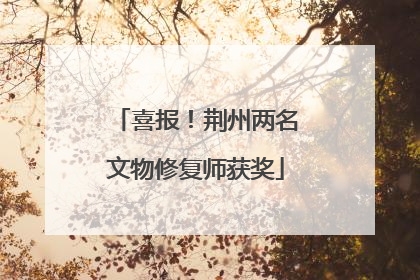 喜报！荆州两名文物修复师获奖