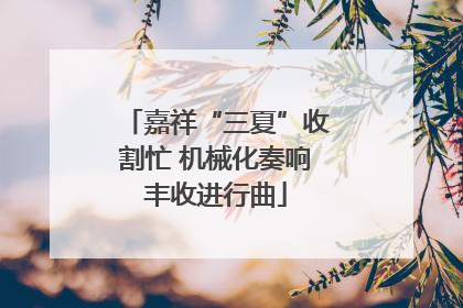 嘉祥“三夏”收割忙 机械化奏响丰收进行曲
