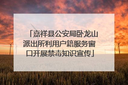 嘉祥县公安局卧龙山派出所利用户籍服务窗口开展禁毒知识宣传