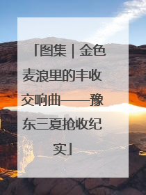 图集｜金色麦浪里的丰收交响曲——豫东三夏抢收纪实
