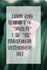 固收老将常娜娜半年“两连升”！靠“债”撑起的财通资管如何突围