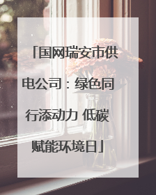 国网瑞安市供电公司：绿色同行添动力 低碳赋能环境日