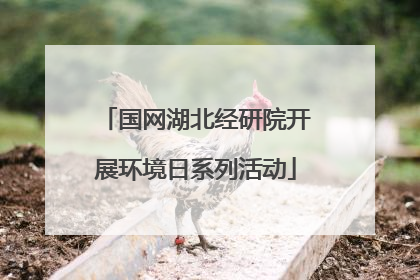 国网湖北经研院开展环境日系列活动