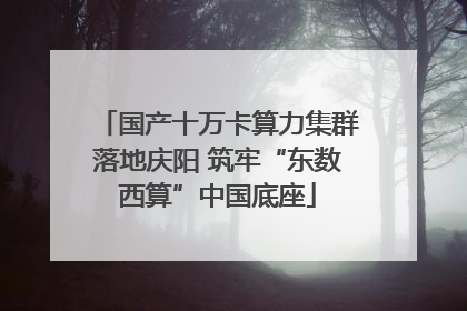国产十万卡算力集群落地庆阳 筑牢“东数西算”中国底座