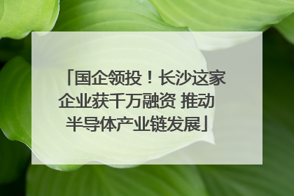 国企领投！长沙这家企业获千万融资 推动半导体产业链发展