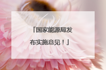 国家能源局发布实施意见！