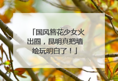 国风簪花少女火出圈，昆明真把墙绘玩明白了！