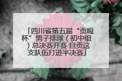 四川省第五届“贡嘎杯”男子排球（初中组）总决赛开赛 自贡这支队伍打进半决赛