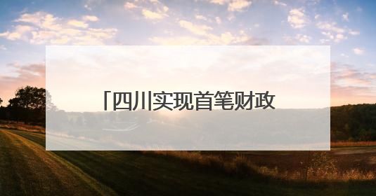 四川实现首笔财政电子票据跨省报销