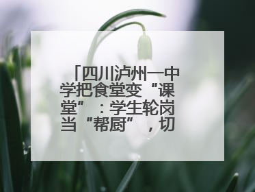 四川泸州一中学把食堂变“课堂”：学生轮岗当“帮厨”，切菜掌勺样样试