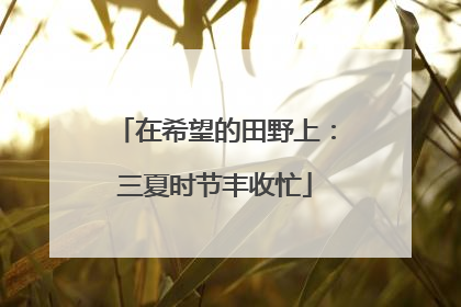 在希望的田野上：三夏时节丰收忙
