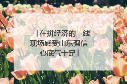 在拼经济的一线现场感受山东强信心底气十足