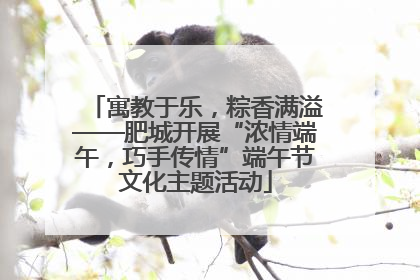 寓教于乐，粽香满溢——肥城开展“浓情端午，巧手传情”端午节文化主题活动