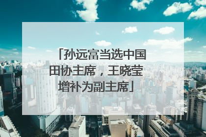 孙远富当选中国田协主席，王晓莹增补为副主席