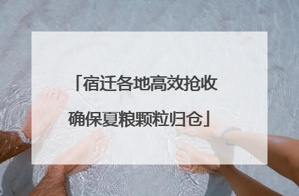 宿迁各地高效抢收 确保夏粮颗粒归仓