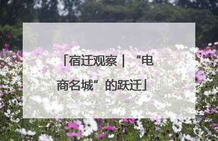 宿迁观察｜“电商名城”的跃迁