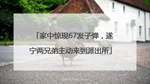家中惊现67发子弹，遂宁两兄弟主动来到派出所