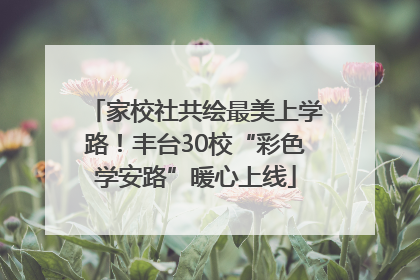 家校社共绘最美上学路！丰台30校“彩色学安路”暖心上线