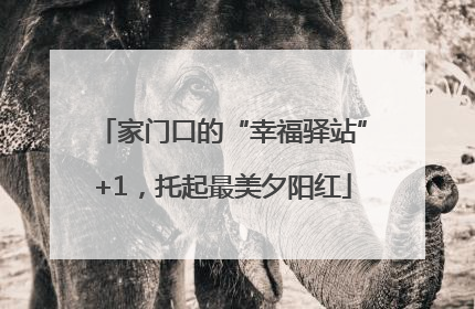 家门口的“幸福驿站”+1，托起最美夕阳红