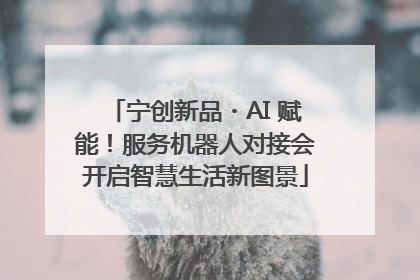 宁创新品・AI 赋能！服务机器人对接会开启智慧生活新图景