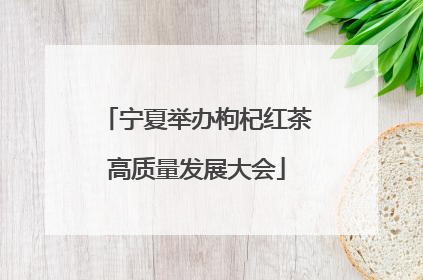 宁夏举办枸杞红茶高质量发展大会
