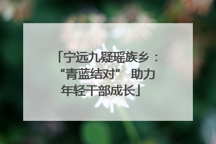 宁远九疑瑶族乡：“青蓝结对” 助力年轻干部成长