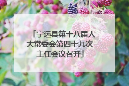 宁远县第十八届人大常委会第四十九次主任会议召开