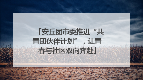 安丘团市委推进“共青团伙伴计划”，让青春与社区双向奔赴