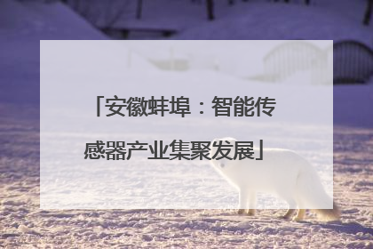 安徽蚌埠：智能传感器产业集聚发展