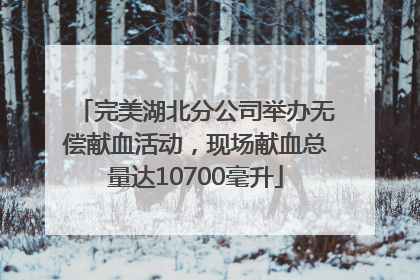 完美湖北分公司举办无偿献血活动，现场献血总量达10700毫升