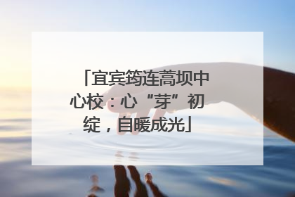 宜宾筠连蒿坝中心校：心“芽”初绽，自暖成光