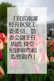 宜宾南溪经开区党工委委员、管委会副主任周虎 接受纪律审查和监察调查