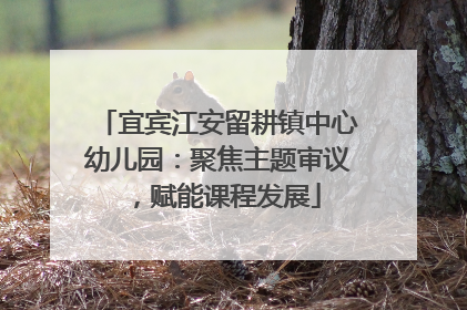 宜宾江安留耕镇中心幼儿园：聚焦主题审议，赋能课程发展