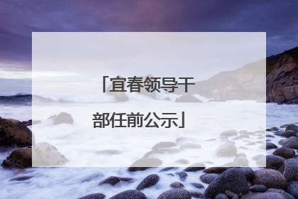 宜春领导干部任前公示