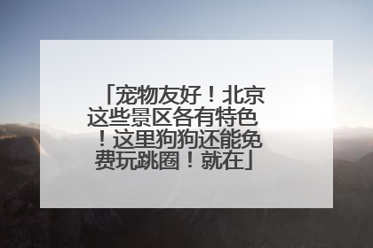 宠物友好！北京这些景区各有特色！这里狗狗还能免费玩跳圈！就在