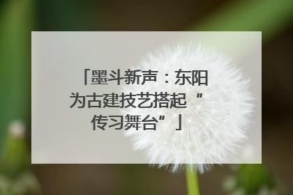 墨斗新声：东阳为古建技艺搭起“传习舞台”