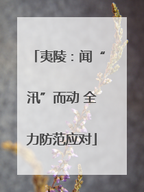 夷陵：闻“汛”而动 全力防范应对