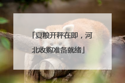 夏粮开秤在即，河北收购准备就绪