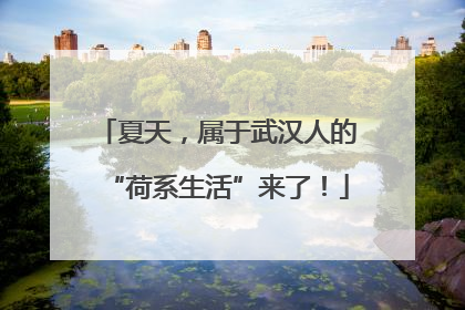 夏天，属于武汉人的“荷系生活”来了！