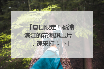 夏日限定！杨浦滨江的花海超出片，速来打卡→