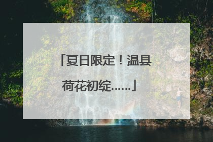 夏日限定！温县荷花初绽……