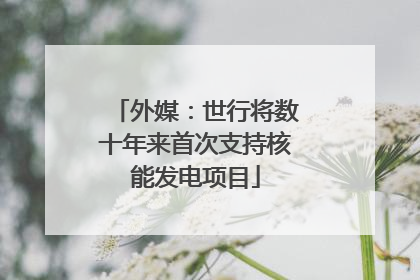 外媒：世行将数十年来首次支持核能发电项目