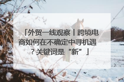 外贸一线观察丨跨境电商如何在不确定中寻机遇？关键词是“新”