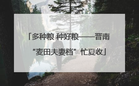 多种粮 种好粮——晋南“麦田夫妻档”忙夏收