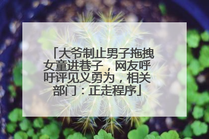 大爷制止男子拖拽女童进巷子，网友呼吁评见义勇为，相关部门：正走程序