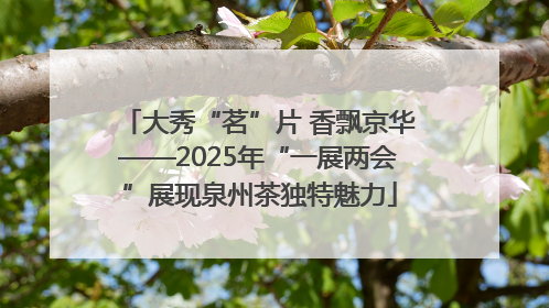 大秀“茗”片 香飘京华——2025年“一展两会”展现泉州茶独特魅力