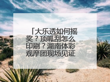 大乐透如何摇奖？顶呱刮怎么印刷？湖南体彩观摩团现场见证“阳光开奖”