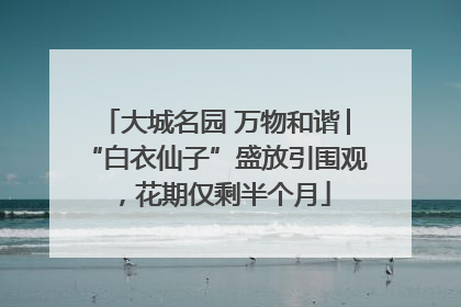 大城名园 万物和谐│“白衣仙子”盛放引围观，花期仅剩半个月
