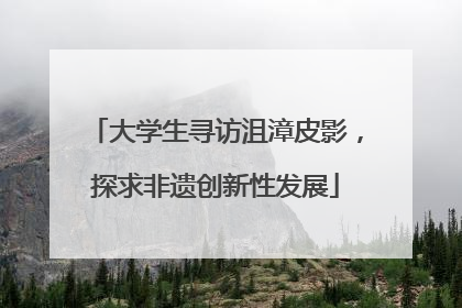 大学生寻访沮漳皮影，探求非遗创新性发展